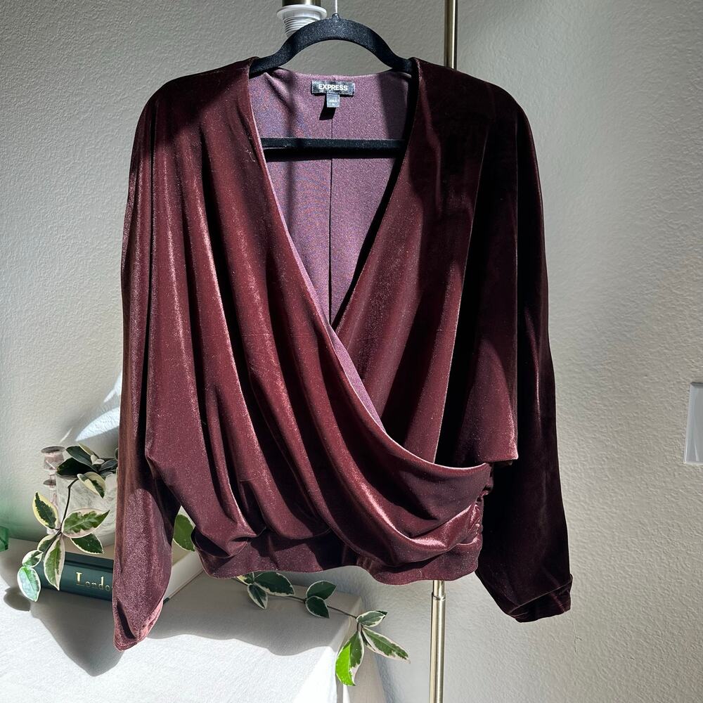 Express Brown Velvet V-Neck Long Sleeve Wrap Top